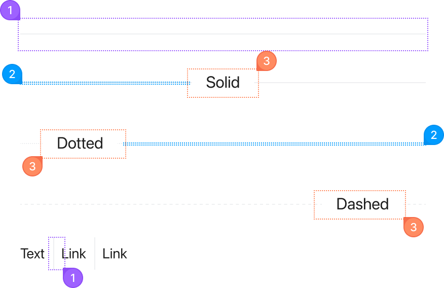 Divider anotomy