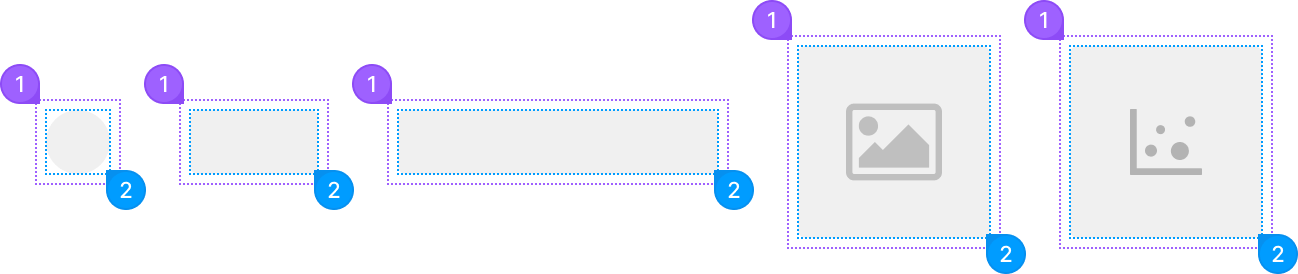 Skeleton element anotomy